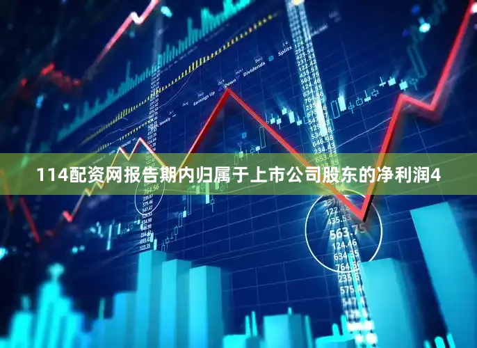 114配资网报告期内归属于上市公司股东的净利润4