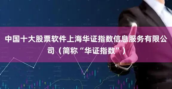 中国十大股票软件上海华证指数信息服务有限公司（简称“华证指数”）