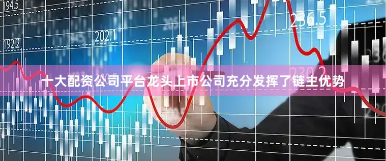 十大配资公司平台龙头上市公司充分发挥了链主优势