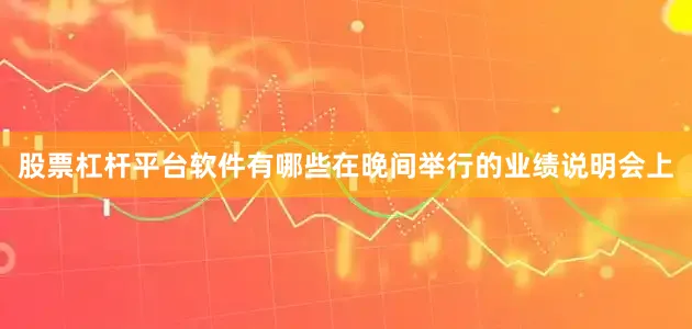 股票杠杆平台软件有哪些在晚间举行的业绩说明会上