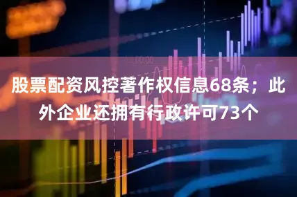 股票配资风控著作权信息68条；此外企业还拥有行政许可73个