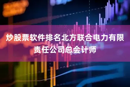 炒股票软件排名北方联合电力有限责任公司总会计师